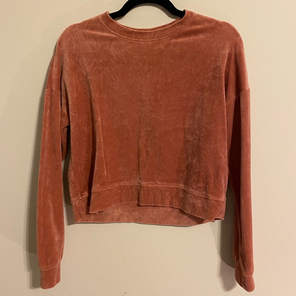 Forever 21 Velvet Sweatshirt